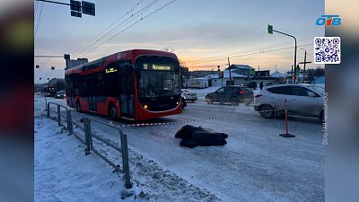 На трассе «Шадринск-Миасское» сбили человека