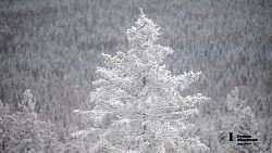 Таганай стал самой снежной точкой Южного Урала в середине зимы‑2025