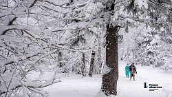 Таганай стал самой снежной точкой Южного Урала в середине зимы‑2025