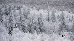 Таганай стал самой снежной точкой Южного Урала в середине зимы‑2025