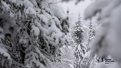 Таганай стал самой снежной точкой Южного Урала в середине зимы‑2025