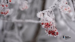 Таганай стал самой снежной точкой Южного Урала в середине зимы‑2025