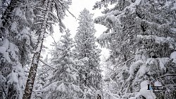 Таганай стал самой снежной точкой Южного Урала в середине зимы‑2025