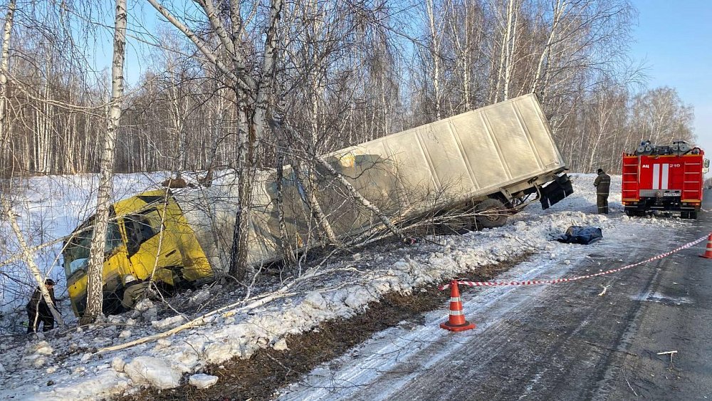 Под Челябинском водитель большегруза врезался в дерево и погиб