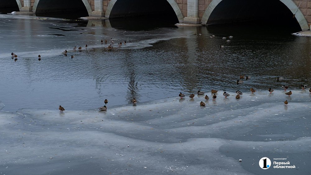 Челябинцев предостерегли от выхода на непрочный лед реки Миасс Челябинцев предостерегли от выхода на непрочный лед реки Миасс