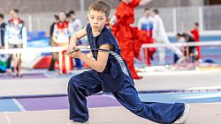 Челябинская область выиграла командный зачет первенства УрФО по ушу