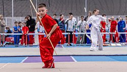 Челябинская область выиграла командный зачет первенства УрФО по ушу