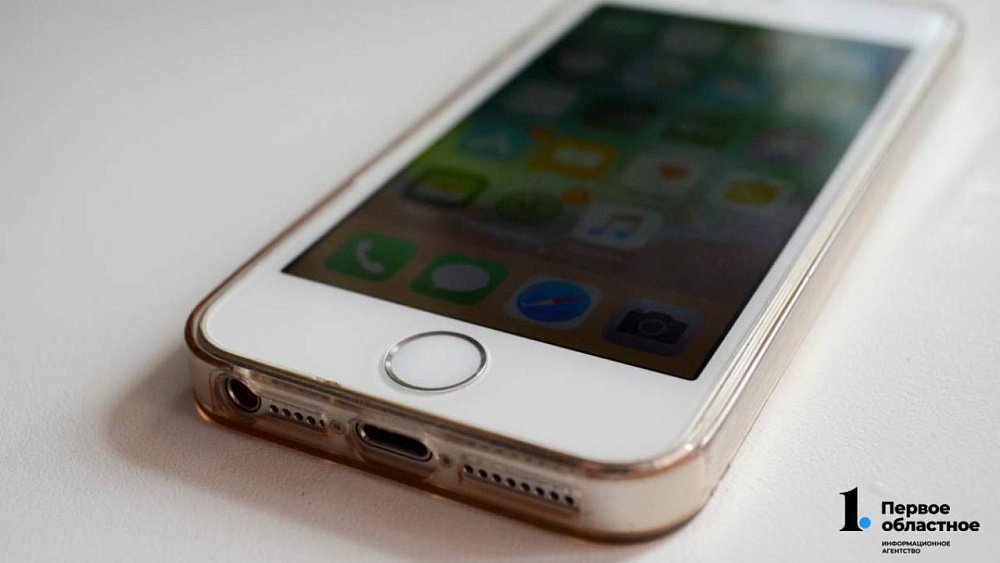 В интернете активизировались мошенники по подделке миграционных сервисов