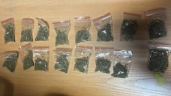 В Челябинске у мужчины нашли три килограмма марихуаны