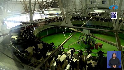 «Капексы» помогают развивать сельское хозяйство