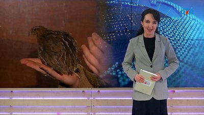 Молодому птицеводу из Кыштыма помогли с его бизнесом