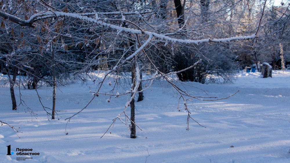 Температурные контрасты прогнозируют в Челябинской области 30 января