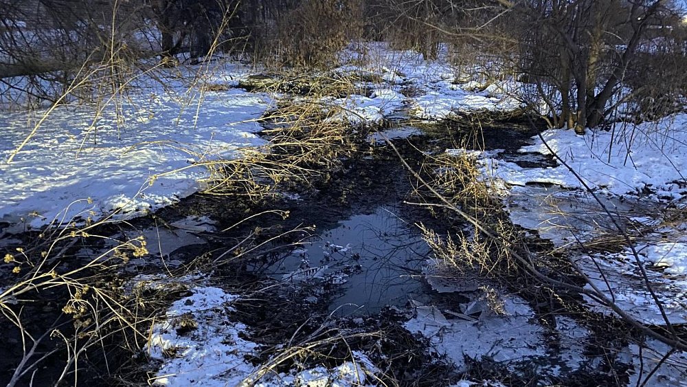 Памятник природы озеро Смолино в черте Челябинска топит канализацией