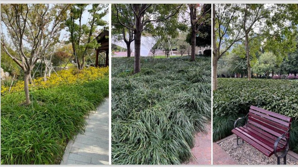 Город-губка, или Как подружиться с дождями. В Челябинске обсудили мировую практику защиты от залповых осадков