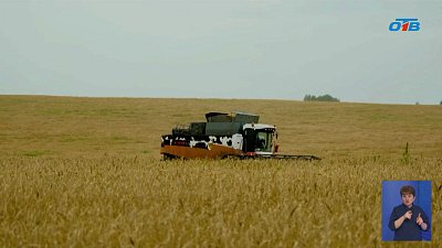 В минсельхозе региона подвели итоги 2024 года