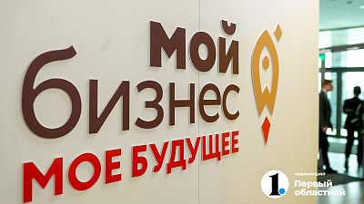 Челябинские предприниматели в 2024 году оформили в два раза больше льготных микрозаймов