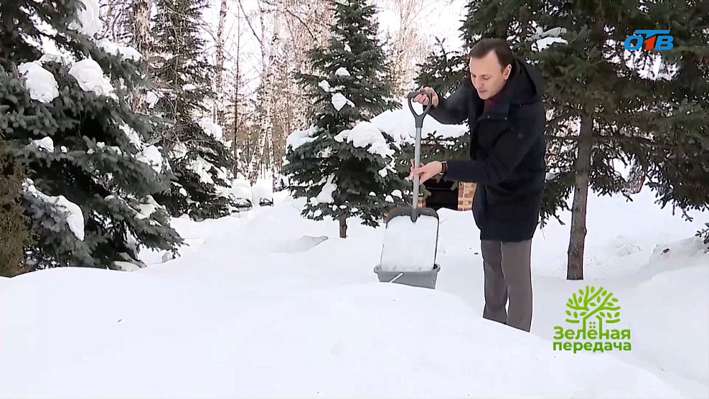 В новом выпуске «Зеленой передачи» эксперты приступили к садовым работам