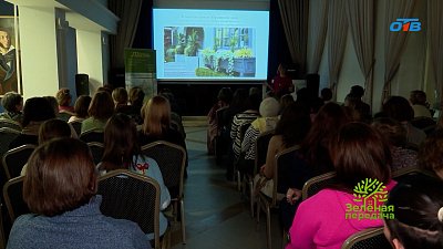 Растения в контейнерах — для балкона, веранды, маленького сада