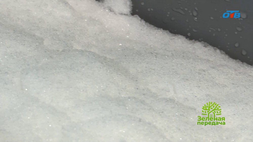 Лучшая вода для полива растений