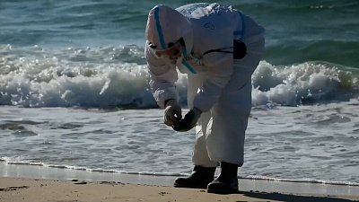 На Южном Урале создадут штаб для помощи черноморскому побережью