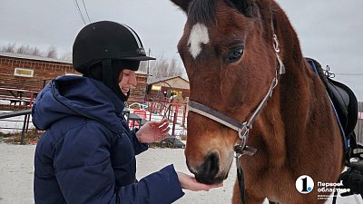Названы популярные у челябинцев зимние развлечения