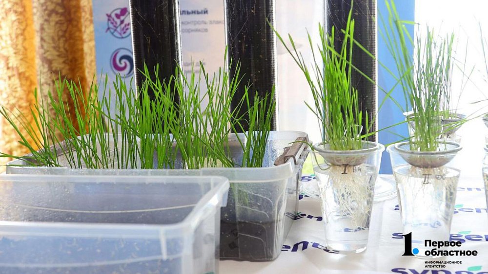 Какая будет весна, рассказали на МАК в Челябинске