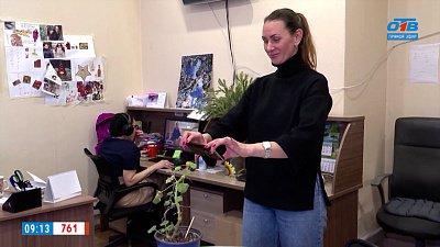 От чего страдает пеларгония? — в рубрике «Зеленый доктор»