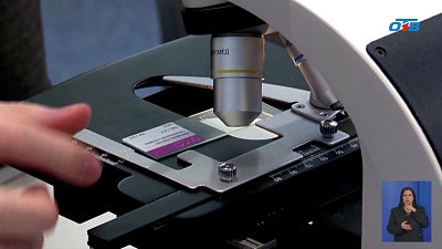 В Челябинске развивают юных гениев