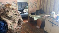 В Челябинской области задержали мужчину, забившего односельчанина доской