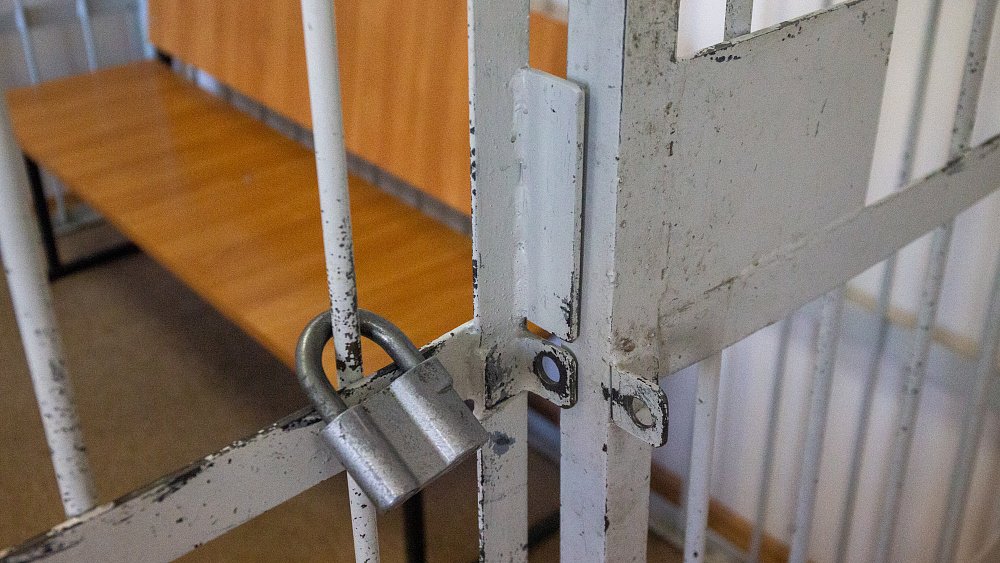 Челябинский суд отправил под домашний арест задержанного директора института ЮУрГУ