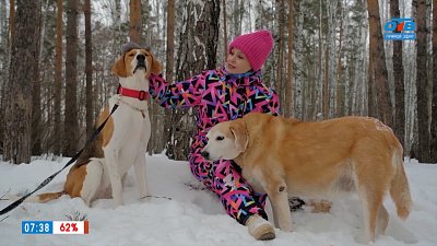 Русская гончая в рубрике «Усы, лапы и хвост»