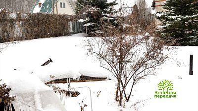 Эксперты программы «Зеленая передача» расскажут об актуальных работах садоводов в феврале