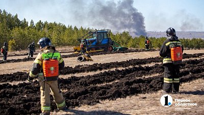 Финансирование лесопожарной охраны на Южном Урале увеличили почти на 80%