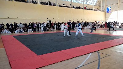 Открытый областной турнир по рукопашному бою