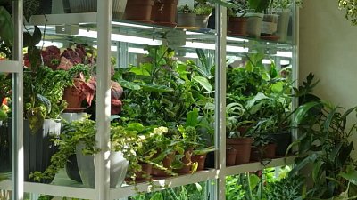 Когда обрабатывать дачный участок от вредителей?