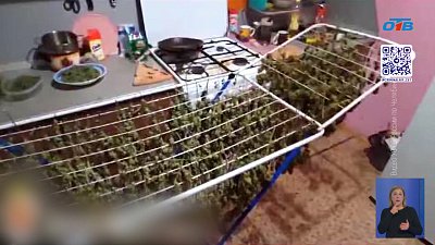 Сотрудники ФСБ накрыли крупную наркосеть