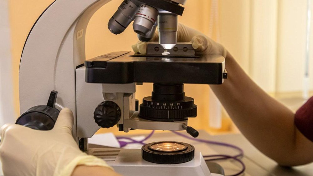 Здоровый челябинец может заработать на донорстве спермы 100 тысяч рублей