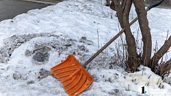 Даже собаки недовольны: дороги и дворы Челябинска сковало гололедом