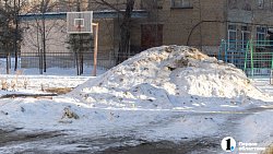 Даже собаки недовольны: дороги и дворы Челябинска сковало гололедом