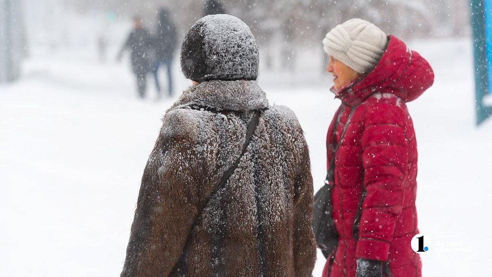 Снежную погоду прогнозируют в Челябинской области 24 февраля