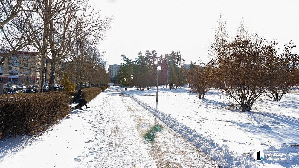 Теплую погоду без снега обещают синоптики жителям Челябинска 27 февраля