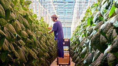 Агропарк Челябинской области первым в регионе получил сертификат на «зеленую» продукцию