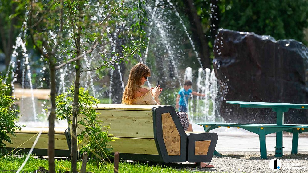 Проблемную челябинскую парковку с бродячими собаками превратят в общественное пространство 
