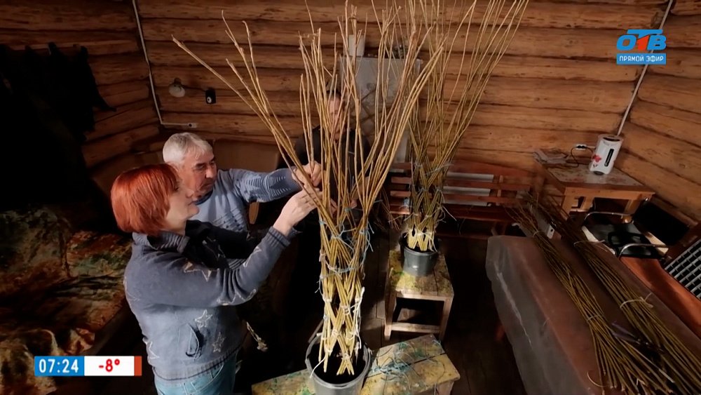 Путешествие в лесхоз в рубрике «Из города в деревню»