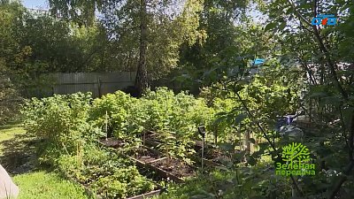 Высокие грунтовые воды — решение проблемы