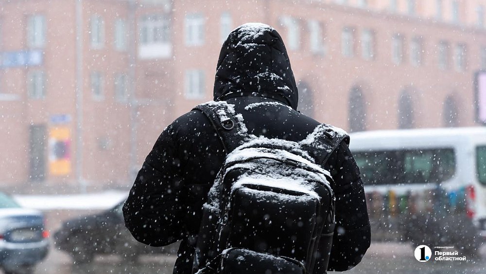 Снегопады сохранятся на юге Челябинской области 6 марта