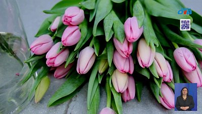 Как выбрать идеальный подарок для девушек на 8 марта?