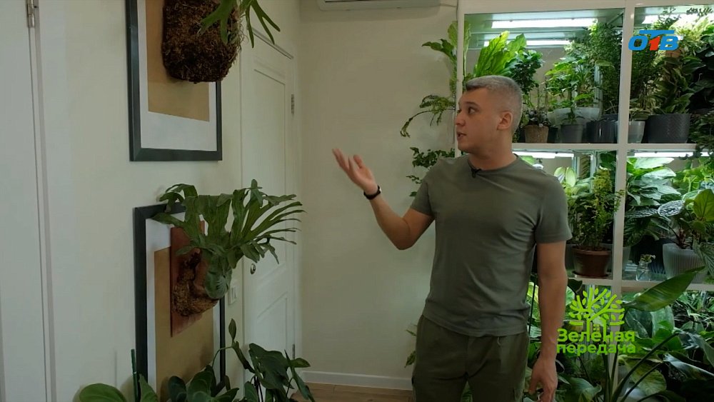 Домашние джунгли Фаруха Тапилова