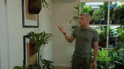 Домашние джунгли Фаруха Тапилова