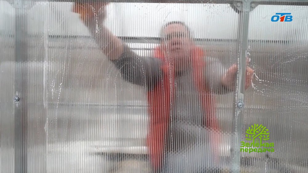 Обрабатывайте сад правильно